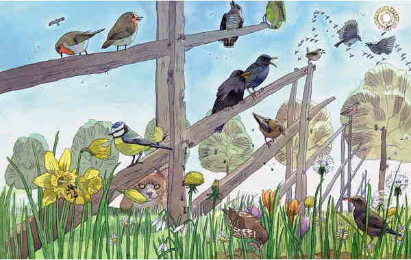 Illustration zu 'Alle Vögel sind schon da' von Markus Lefrançois