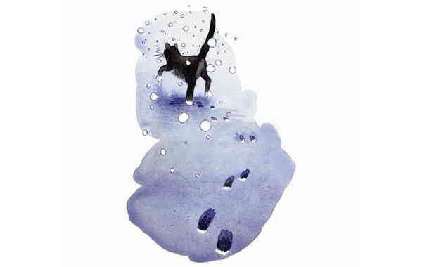 Illustration zu 'A B C, die Katze lief im Schnee' von Markus Lefrançois