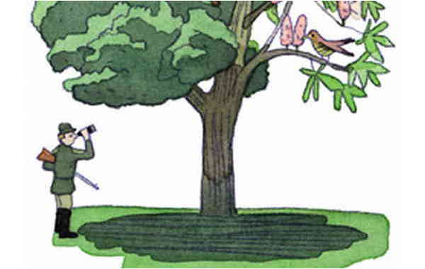 Illustration zu 'Auf einem Baum ein Kuckuck saß' von Markus Lefrançois