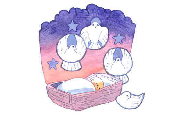 Illustration zu 'Alle Sterne / Adoración al nino Jesus' von Markus Lefrancois
