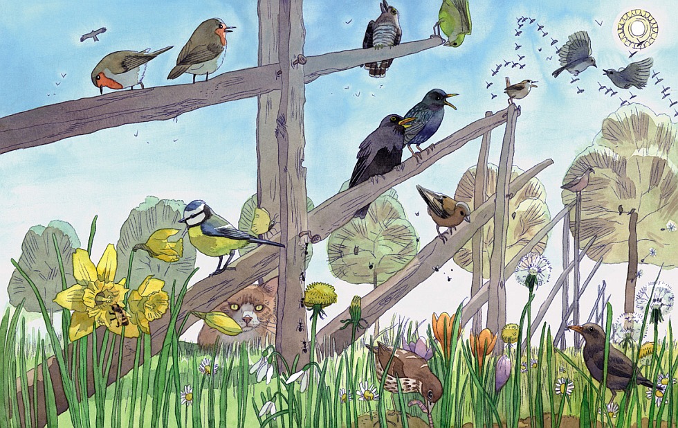 Illustration zu »Alle Vögel sind schon da« von Markus Lefrançois