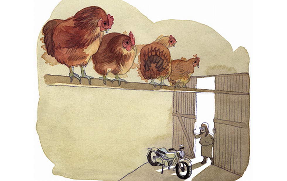 Illustration zu »Meine Oma fährt im Hühnerstall Motorrad« von Markus Lefrançois
